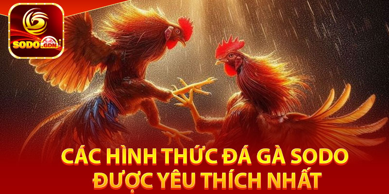 Các hình thức đá gà Sodo được yêu thích nhất