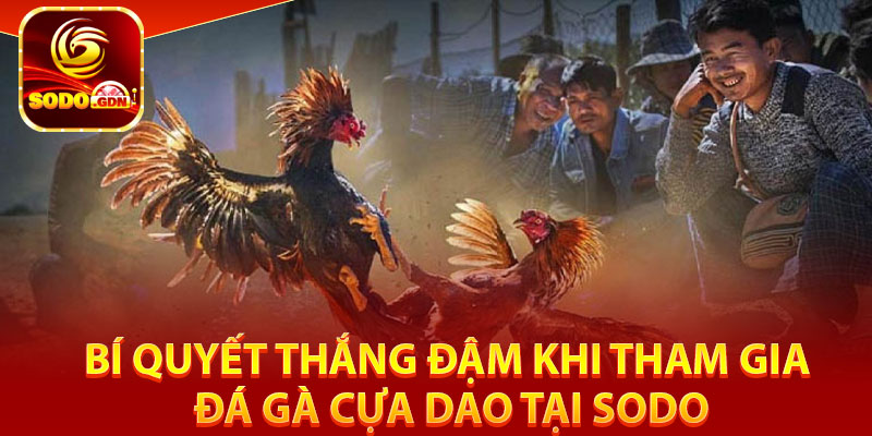 Bí quyết thắng đậm khi tham gia đá gà cựa dao tại Sodo